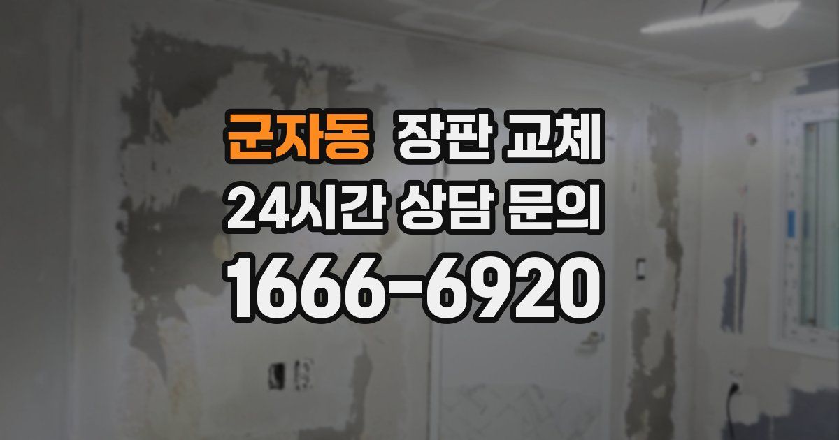군자동 장판 교체