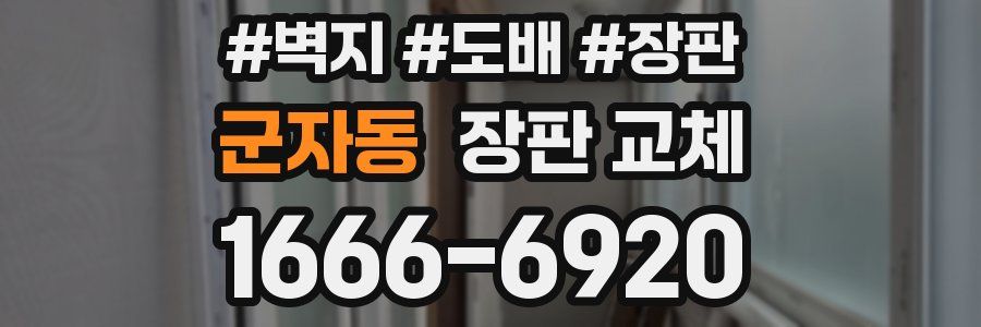군자동 장판 교체