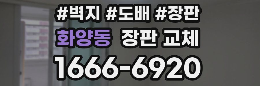 화양동 장판 교체