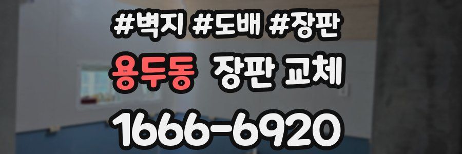 용두동 장판 교체