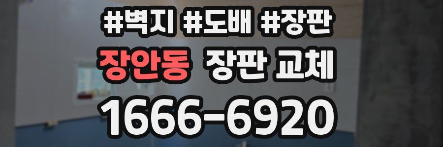 장안동 장판 교체
