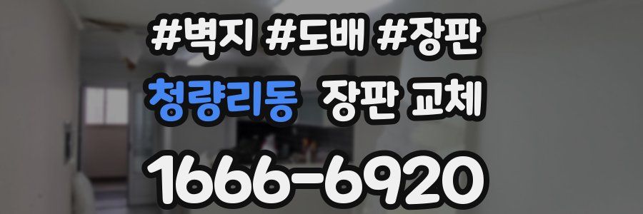청량리동 장판 교체