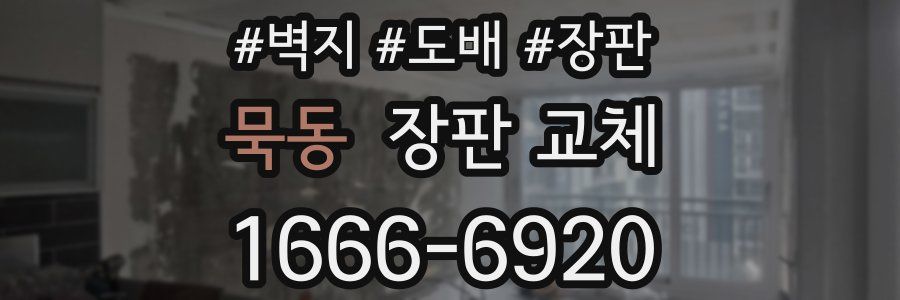 묵동 장판 교체
