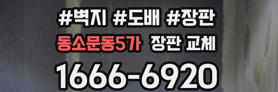 동소문동5가 장판 교체