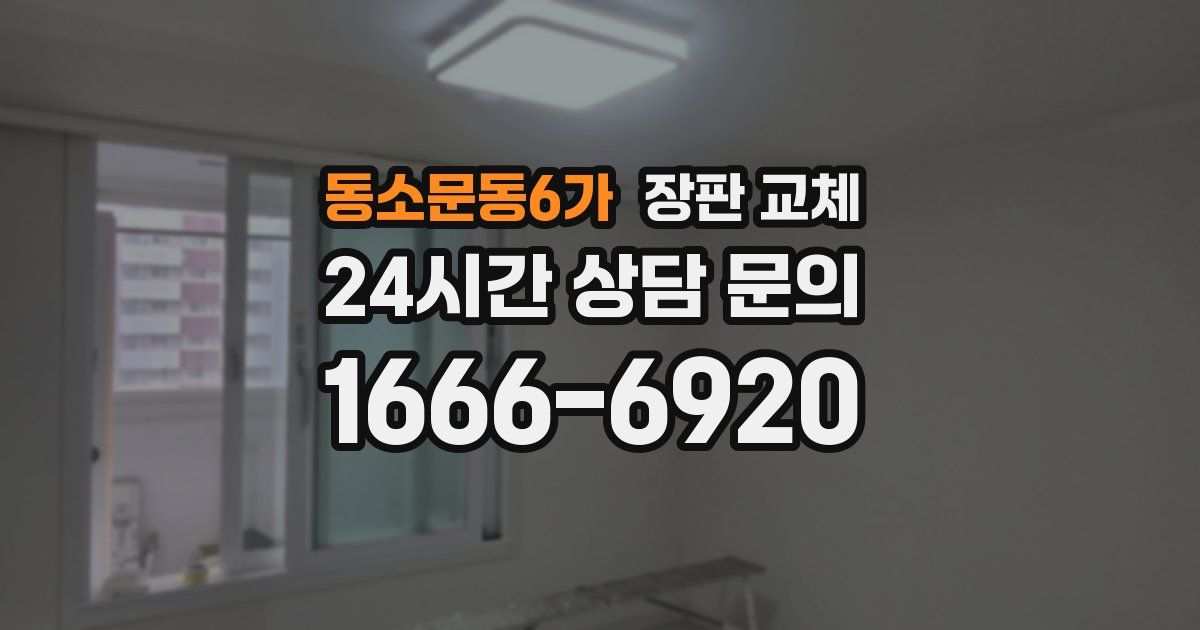 동소문동6가 장판 교체