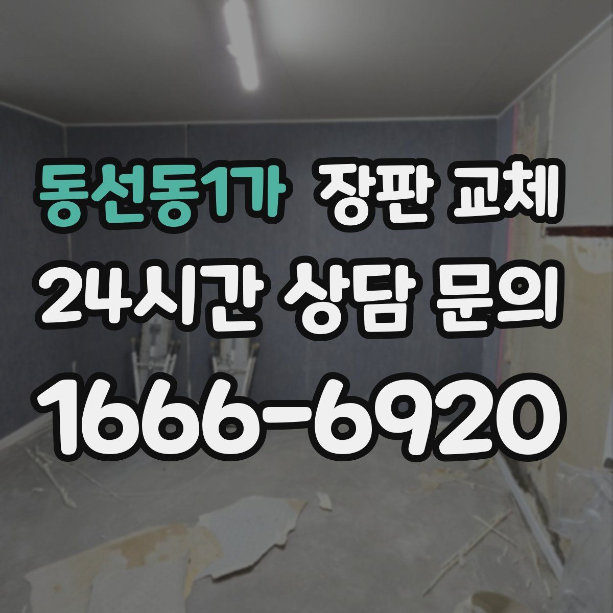 동선동1가 장판 교체