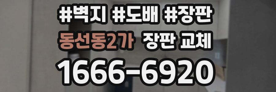 동선동2가 장판 교체