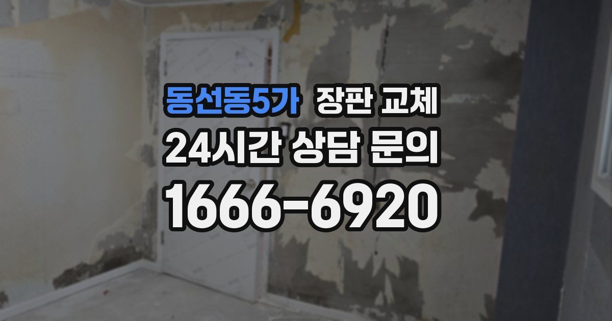 동선동5가 장판 교체