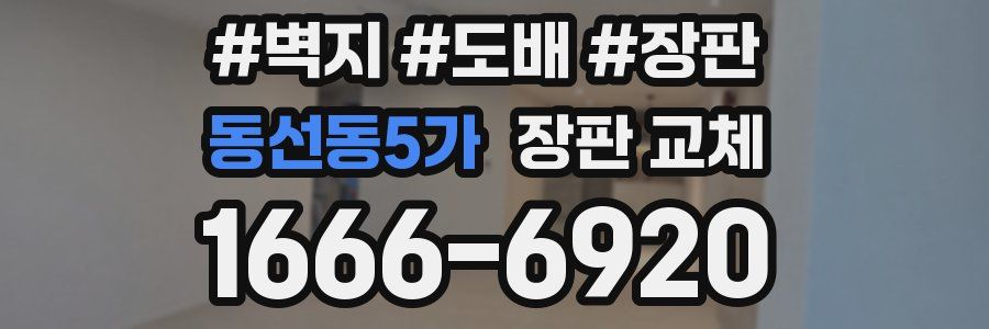 동선동5가 장판 교체