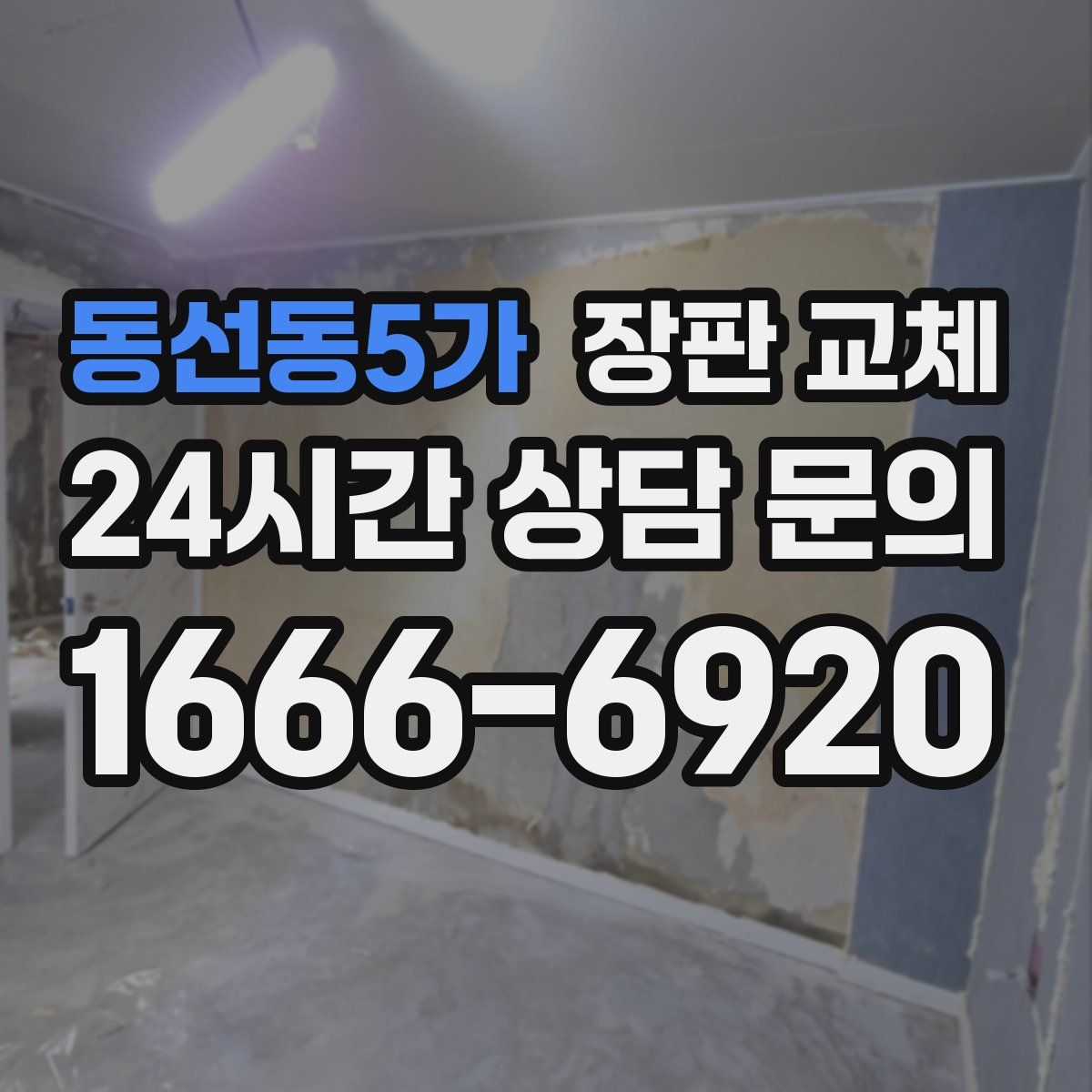동선동5가 장판 교체