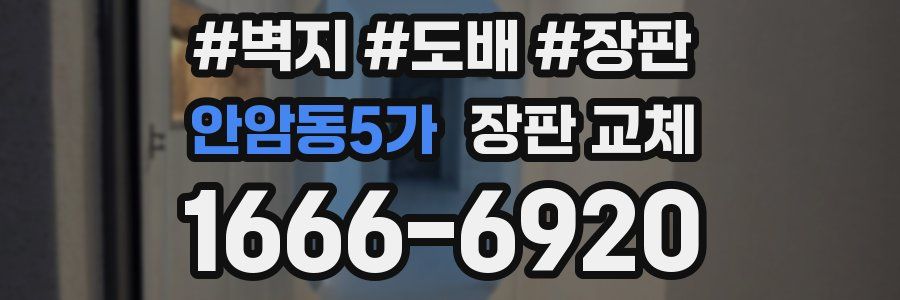 안암동5가 장판 교체