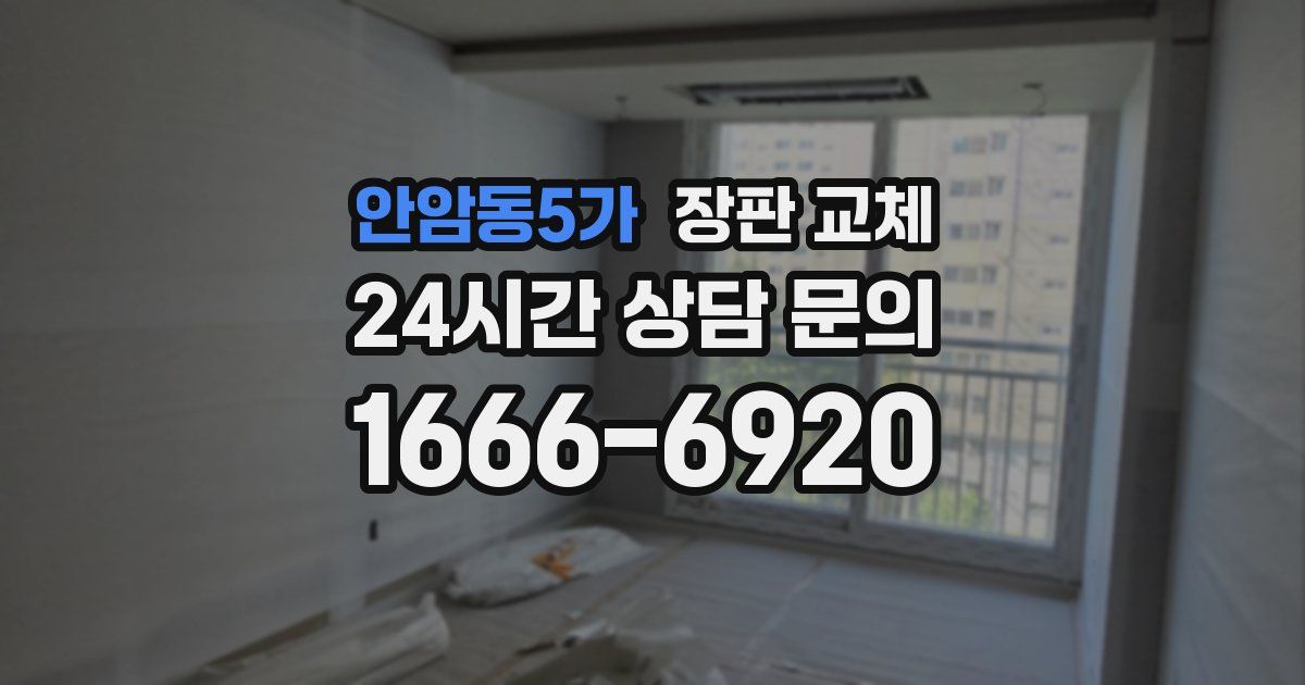 안암동5가 장판 교체