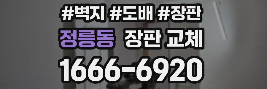 정릉동 장판 교체