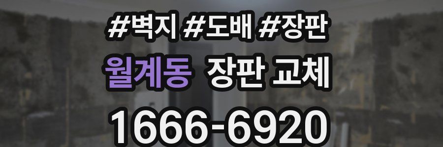 월계동 장판 교체