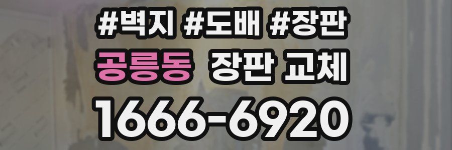 공릉동 장판 교체