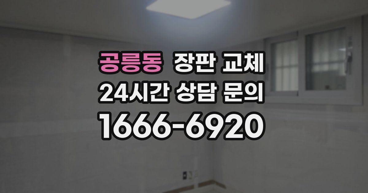 공릉동 장판 교체