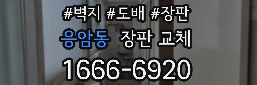 응암동 장판 교체