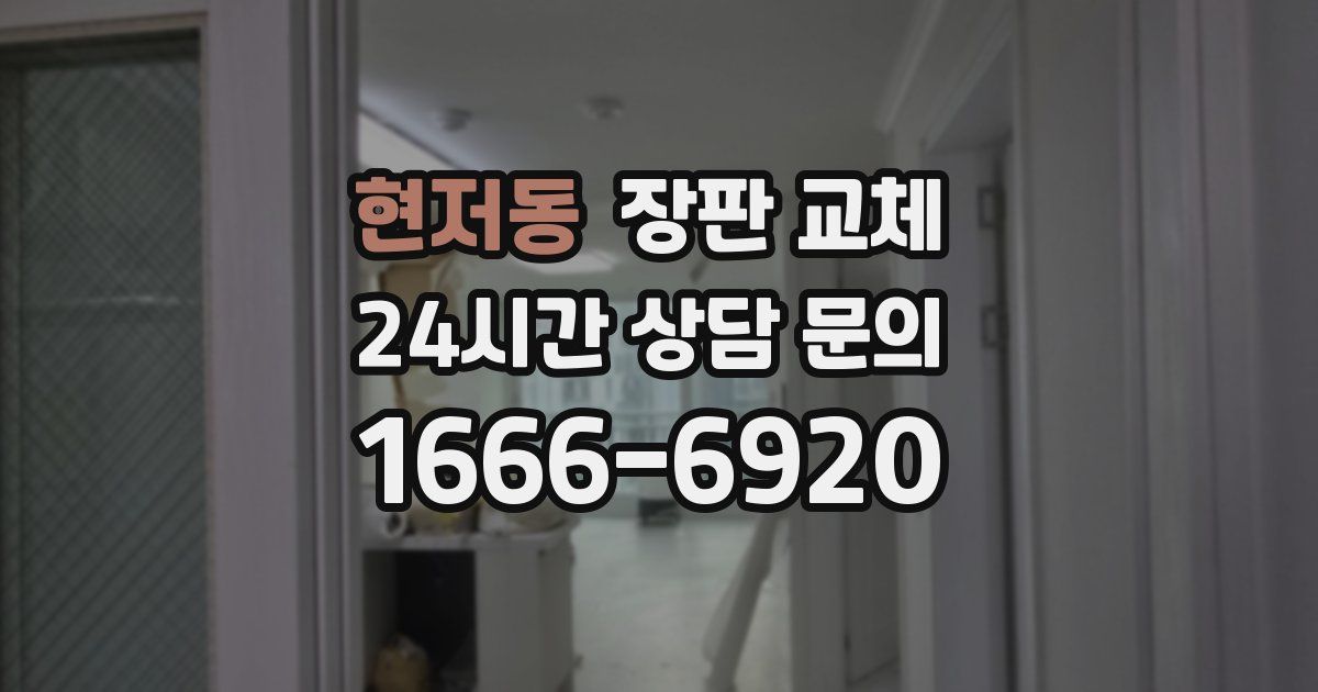 현저동 장판 교체