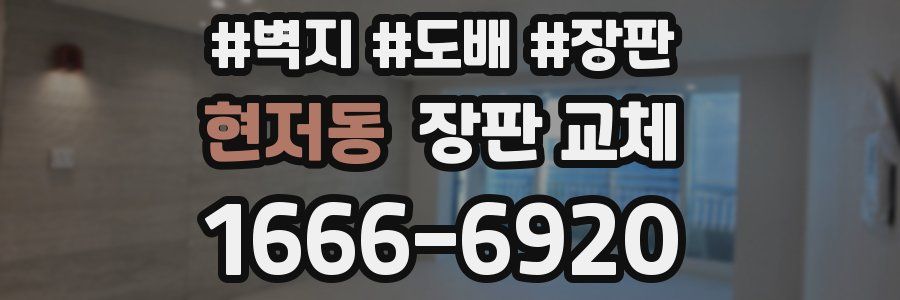 현저동 장판 교체