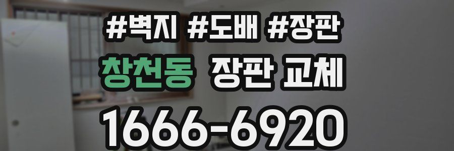 창천동 장판 교체