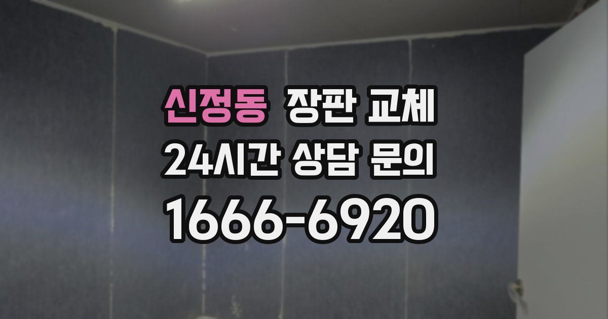 신정동 장판 교체