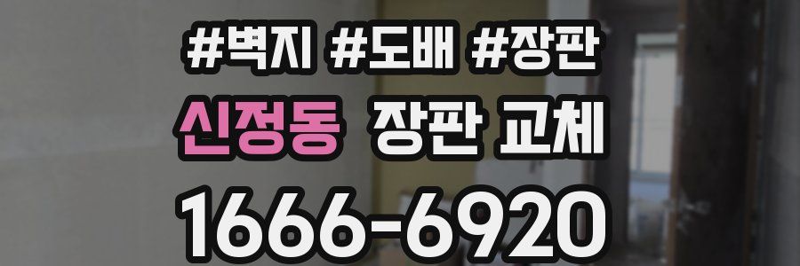 신정동 장판 교체