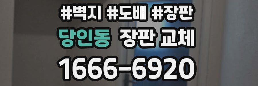 당인동 장판 교체