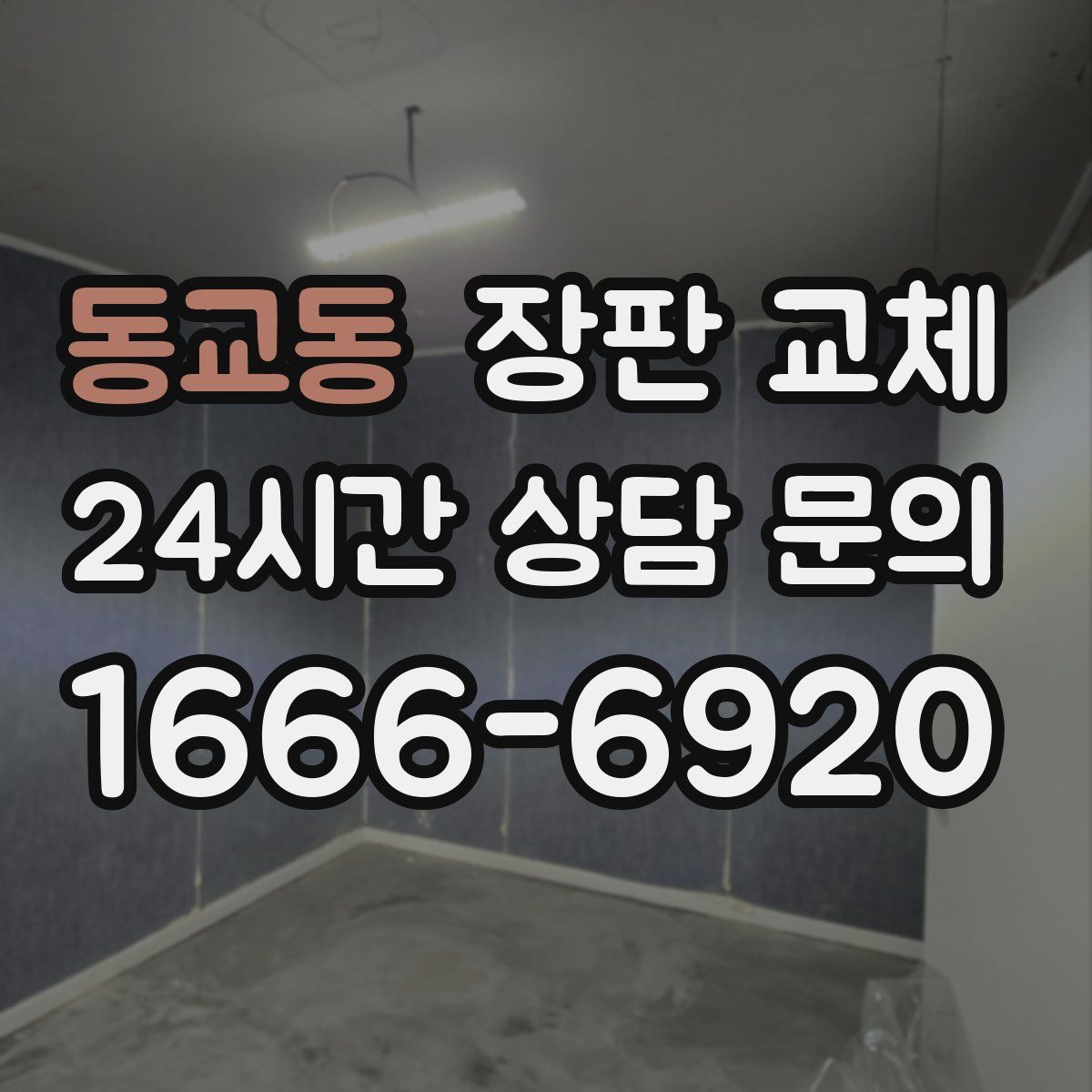 동교동 장판 교체