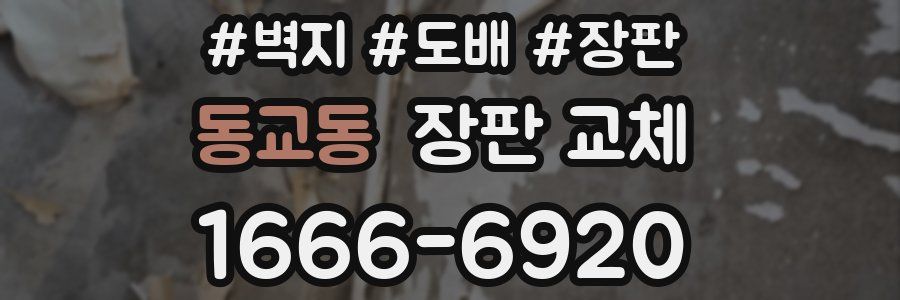 동교동 장판 교체
