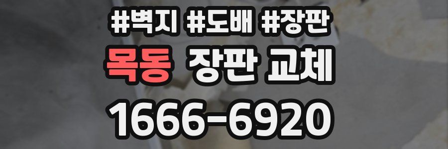 목동 장판 교체