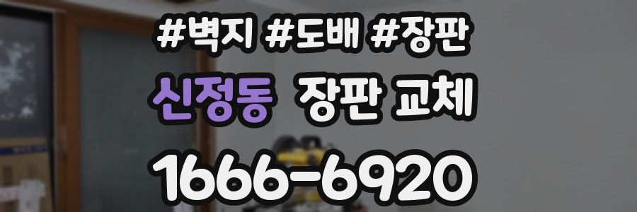 신정동 장판 교체