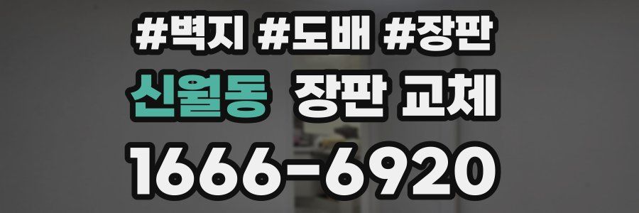 신월동 장판 교체