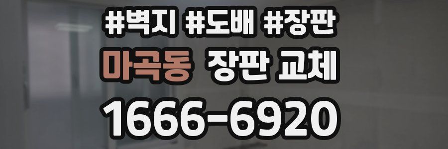 마곡동 장판 교체