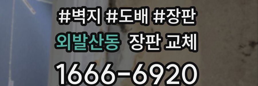 외발산동 장판 교체