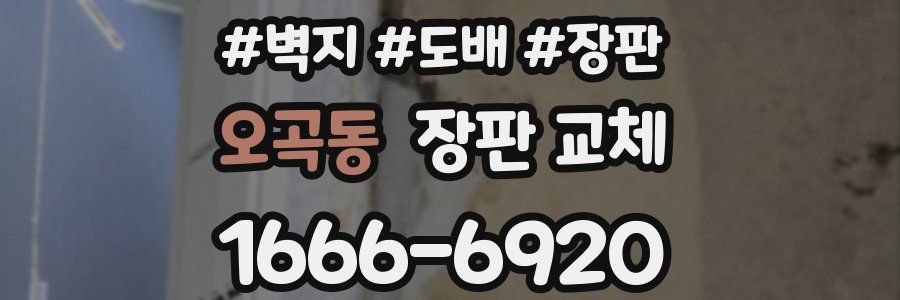 오곡동 장판 교체