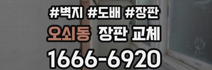 오쇠동 장판 교체
