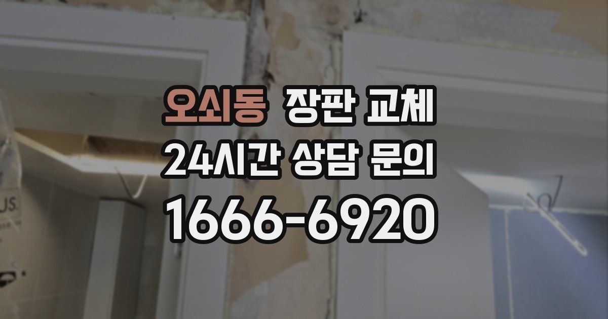 오쇠동 장판 교체