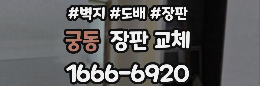 궁동 장판 교체