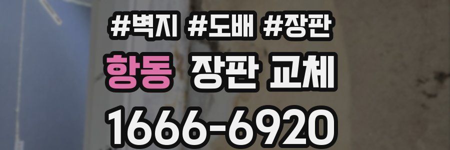 항동 장판 교체