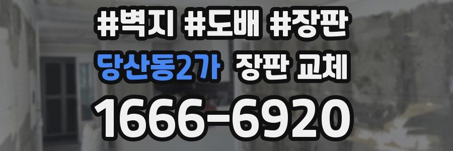 당산동2가 장판 교체