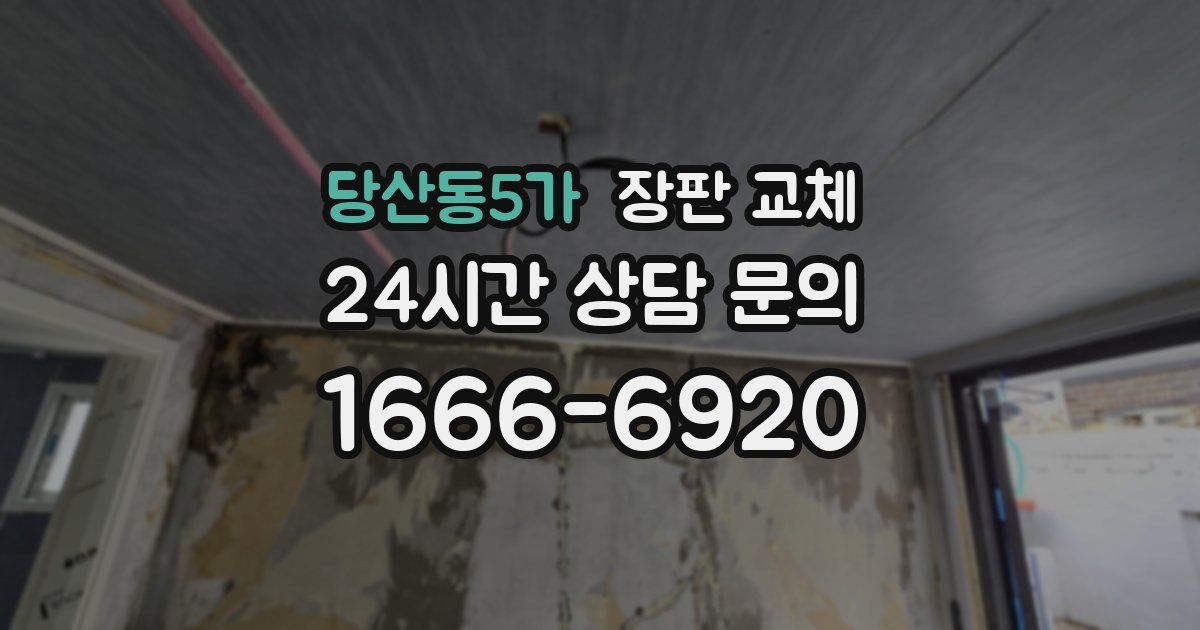 당산동5가 장판 교체