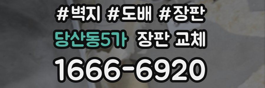 당산동5가 장판 교체