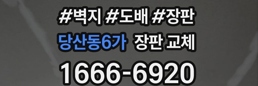 당산동6가 장판 교체