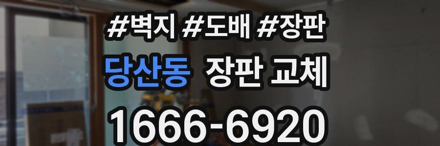 당산동 장판 교체
