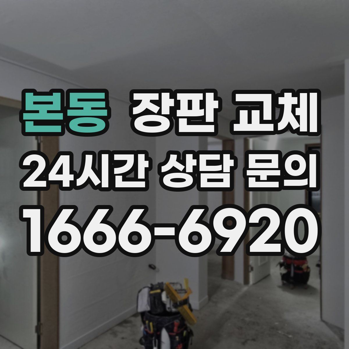 본동 장판 교체