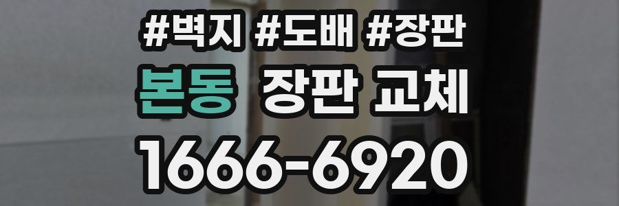 본동 장판 교체