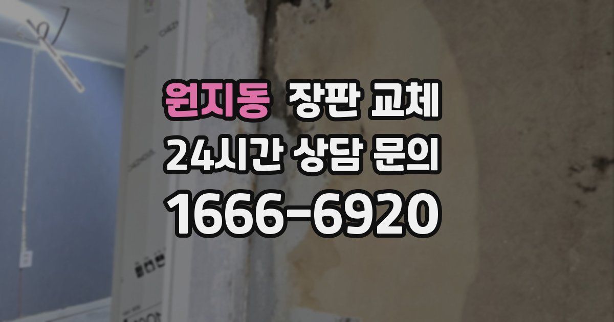 원지동 장판 교체