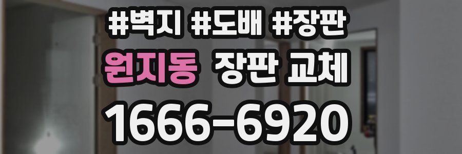 원지동 장판 교체