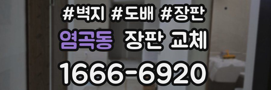 염곡동 장판 교체