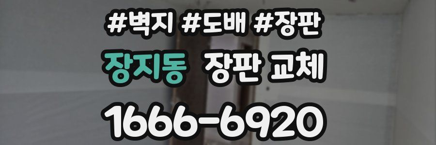장지동 장판 교체